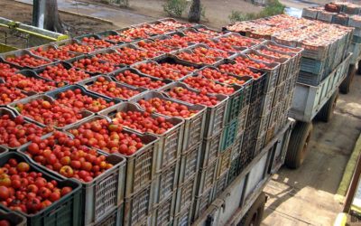 Debilidad y Agenda 2030