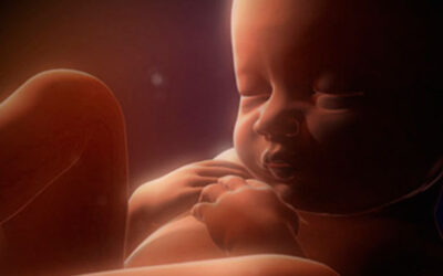 El Día del Niño por nacer